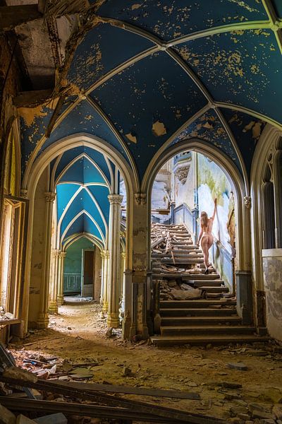 Neugierde von Sake van Pelt