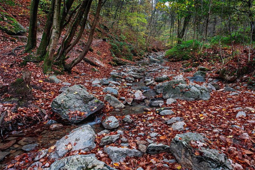 Ninglinspo by Rob Boon