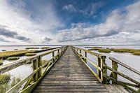 Footbridge near Schobüll