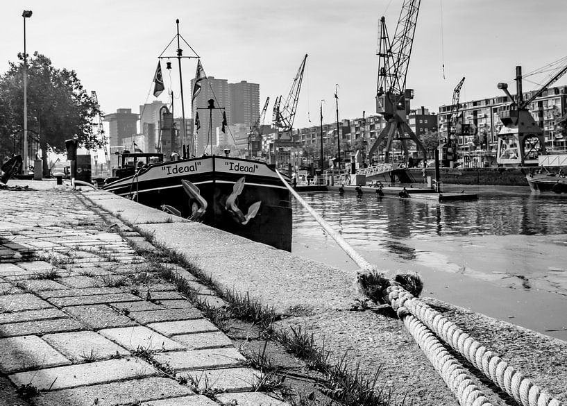 Leuvehaven, Harbour at Rotterdam, The Netherlands by Henry van Schijndel