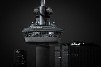 Gros plan sur l'Euromast en noir et blanc