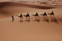 Karawane Wüste