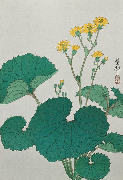 Fleurs de feuilles d'argent japonaises, Ohara Koson par Des maîtres magistraux