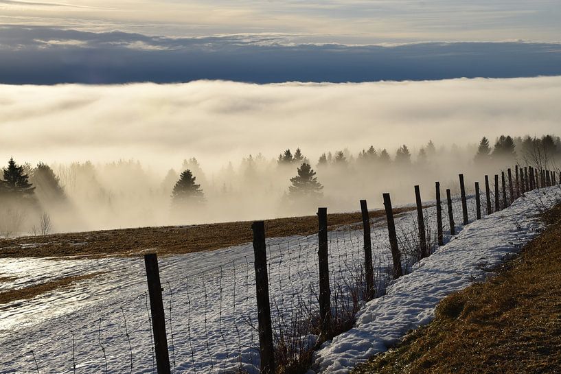Ein Nebel an einem Frühlingsmorgen von Claude Laprise