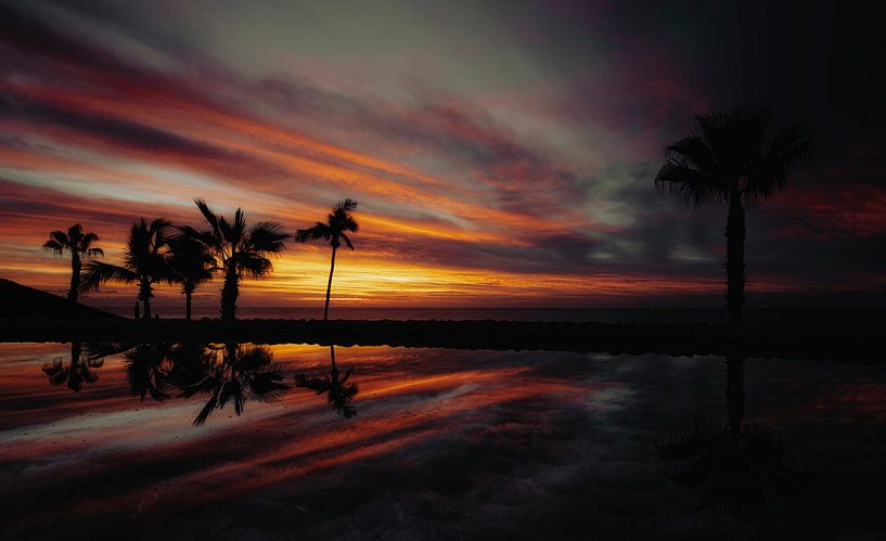 Bonjour ! par Nanouk el Gamal - Wijchers (Photonook)