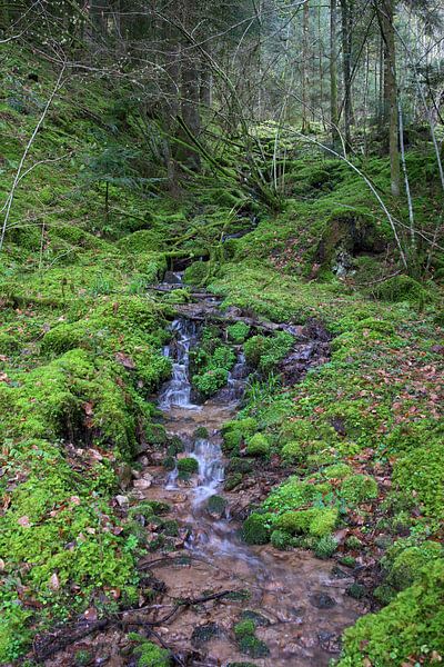 Chute d&#039;eau par Daniel Dorst