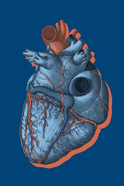 it is Called a Heart van Marja van den Hurk