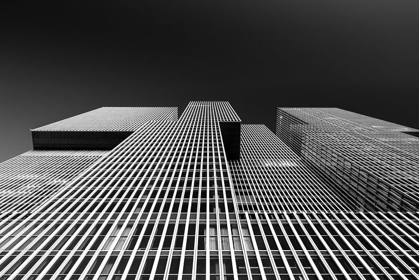 Lijnen en vlakken par Dion van den Boom