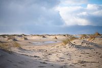 Texel, der Strand und die Dünen