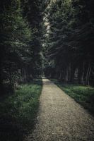 So wonderfully quiet