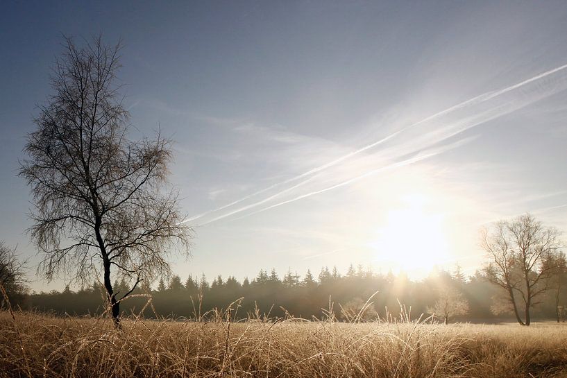 Winter Deelense Veld by Menno Bausch