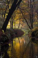 Sterkselse Aa bei Heeze in Herbstkugeln