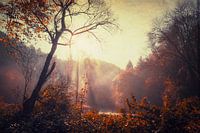 Lever de soleil automnal sur la rivière