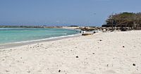 Plage de bébé, Aruba