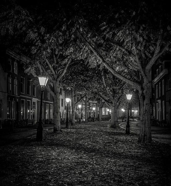 Leiden by night by Nick van der Zwan
