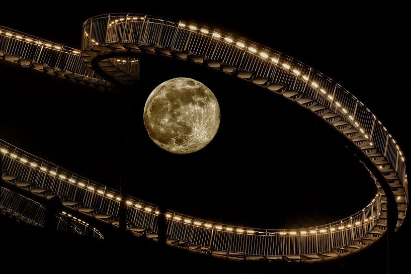 Tiger und Schildkröte. von Laura van Grinsven