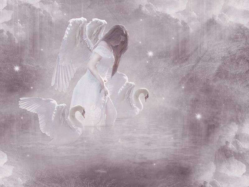 Récupération du coeur par Babette van den Berg