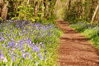 Sentier pédestre à 't Wildrijk, Sint Maartenszee
