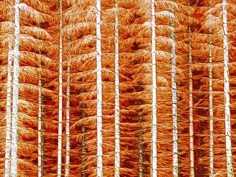 Orangenwald (Orangenwälder) von Caroline Lichthart