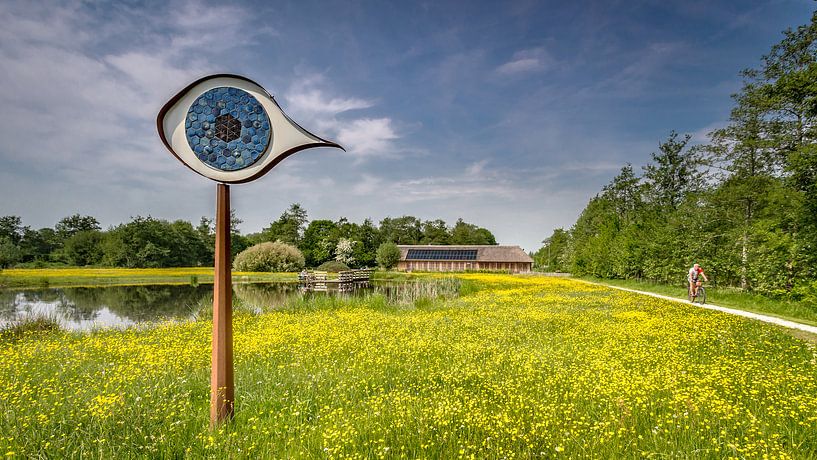 Das Auge des Curringhervelds am Kornhorn von Martijn van Dellen