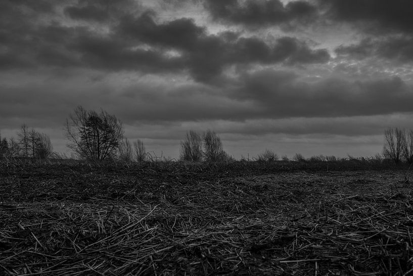 Hollands winterlandschap von Jacco van der Veen