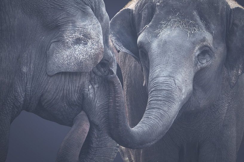 Große Liebe von Karin aan de muur