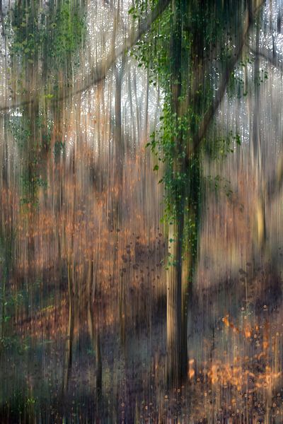 Promenade dans un paysage de rêve 02 par Mia Art and Photography