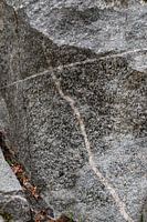 Stille in der Struktur - Schwedische Natur aus der Nähe von Nordic Details 009