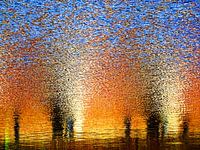 Urbane Malerei - Die Auserwählten