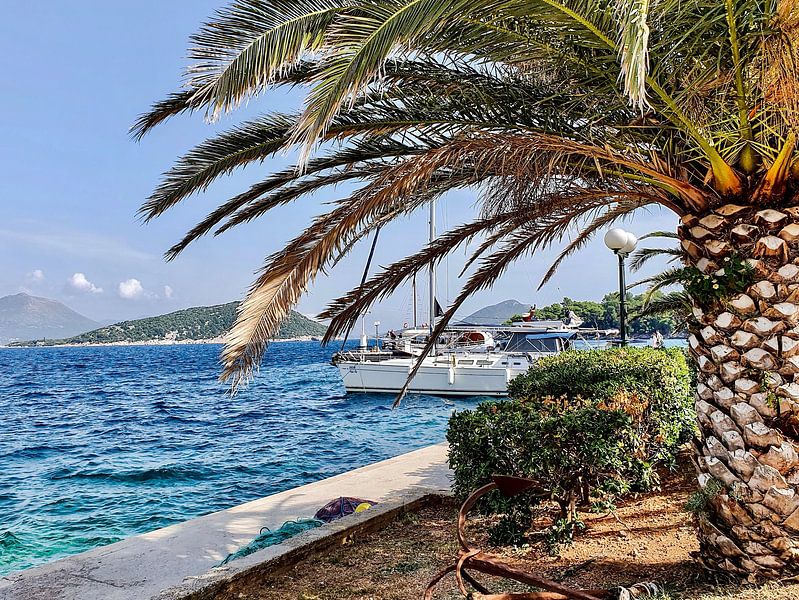 Kroatien Motiv 33 von zam art