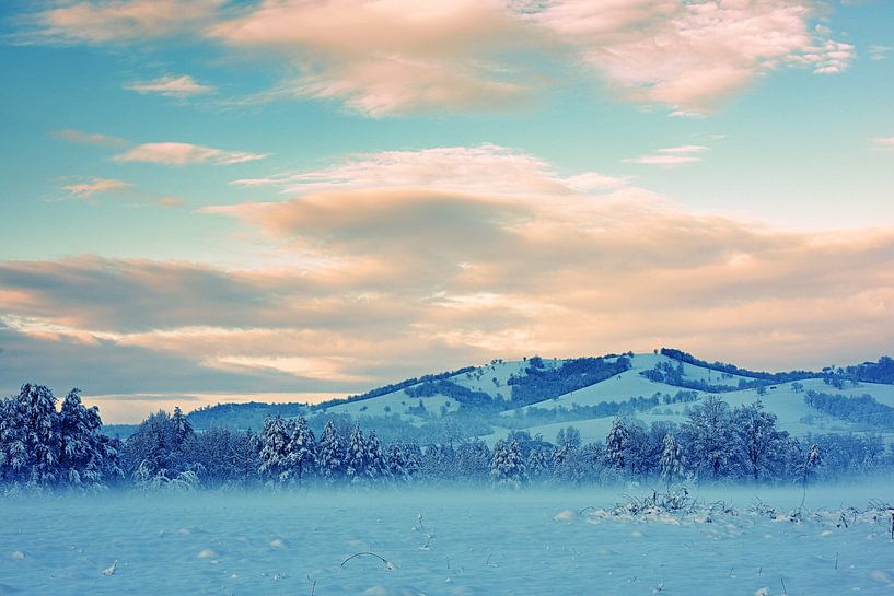 Winterabend von Dimislava Todorova