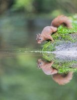 Doppeltes Sehen vor dem Abstieg