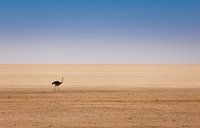 Die Macht des Nichts - allein auf der Welt