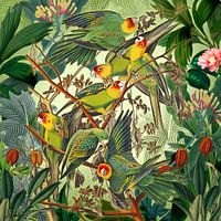 Vergnügte Amazonen-Papgeien