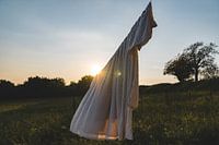 Frische Wäsche in Frankreich / Reisefotografie