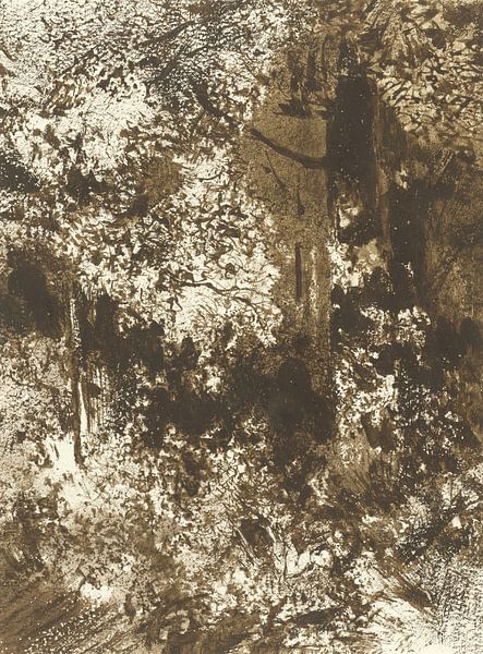 Gesicht des Waldes, Mallardot von Het Archief