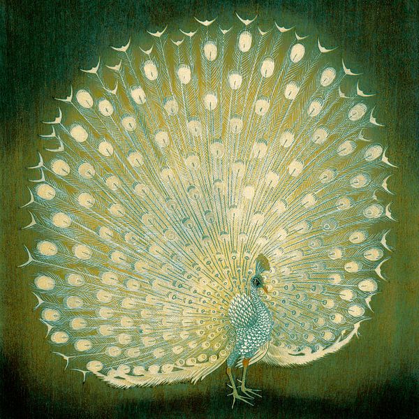 Japanischer Pfau von Mad Dog Art