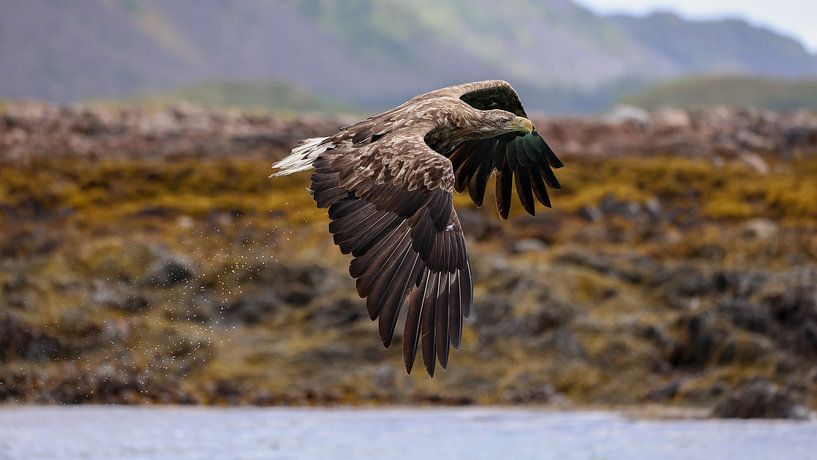 L'ascension avec la prise par Petri Niskanen