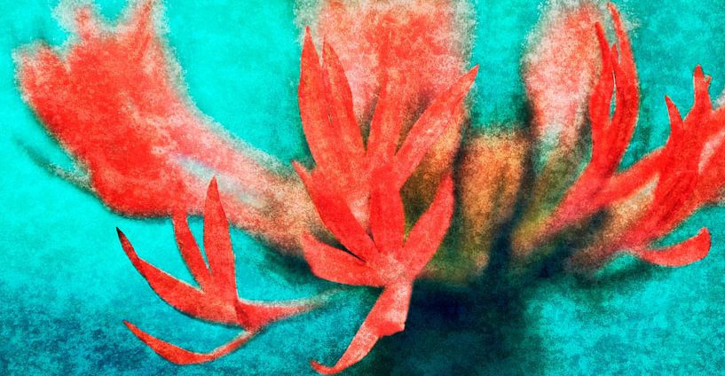 Opvallend rood van Corinne Welp