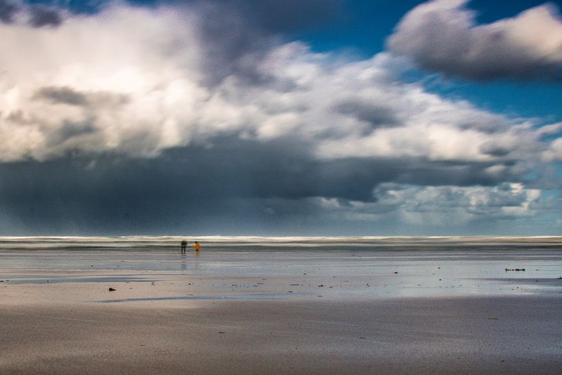 Nordseestrand auf Ameland von Lizanne van Spanje
