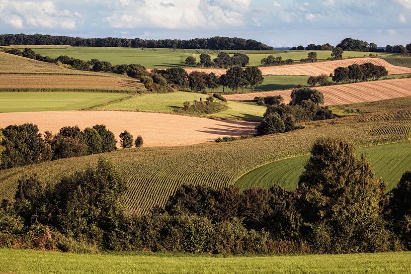 Fromberg par Rob Boon