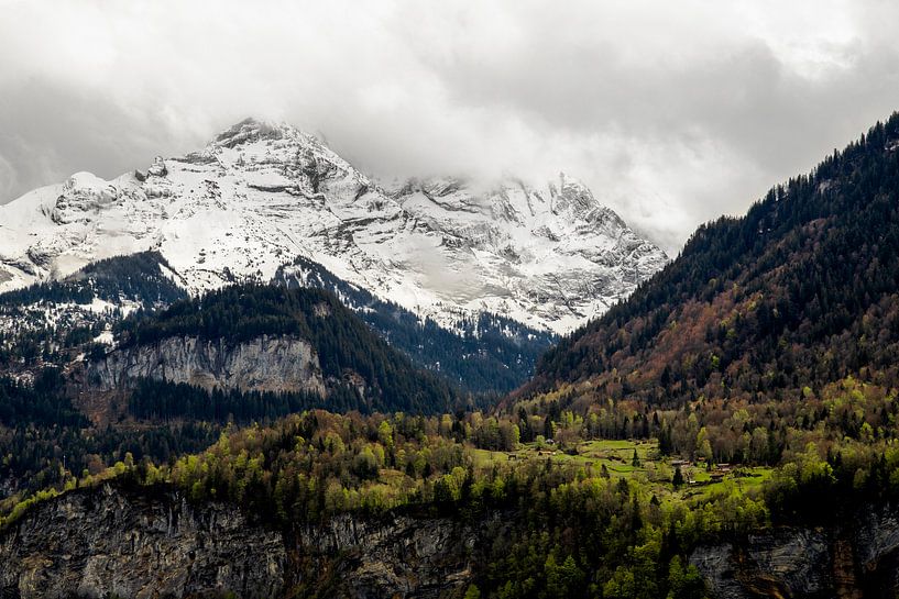 Landscape in Switzerland by Yvette Baur