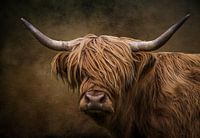 The Scottish Highlander