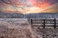 Cold morning with rising sun, fence