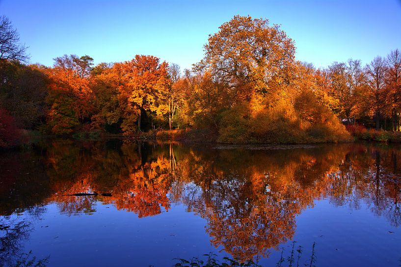 étang automnal par Edgar Schermaul