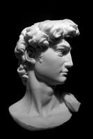 Michelangelos David: Ein ikonisches Meisterwerk in Schwarz und Weiß