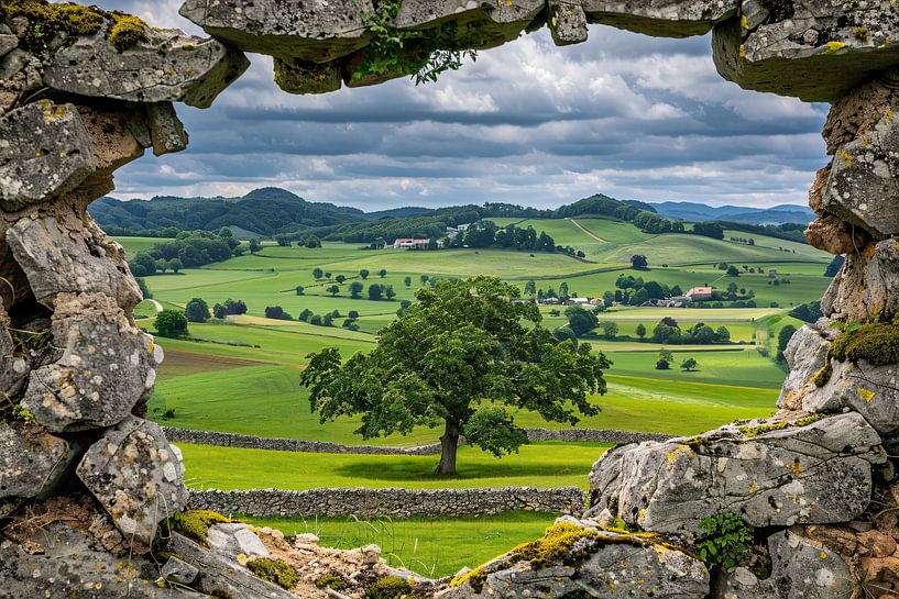 Durchsichtige von Imperial Art House