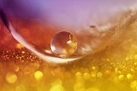 Mystery world in a marble