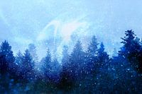 Der Wald erwacht aus dem Nebel