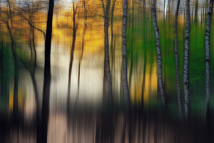 The magic of the forest by Ton Kuijpers